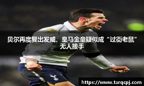 芒果体育官方网站