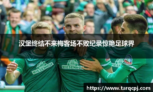 芒果体育直播官网