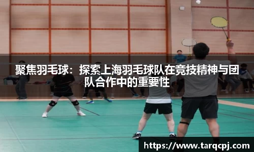 mgty芒果体育