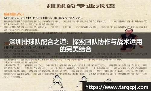芒果体育官方网站