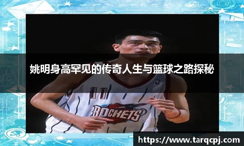 芒果体育直播官网