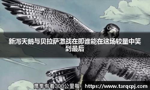 mgty芒果体育